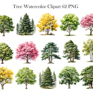 Pu&ograve; includere: Un set di 12 illustrazioni ad acquerello di vari alberi. Gli alberi sono dipinti in tonalit&agrave; di verde, giallo, rosa e marrone. Le illustrazioni sono perfette per aggiungere un tocco di natura ai tuoi progetti.