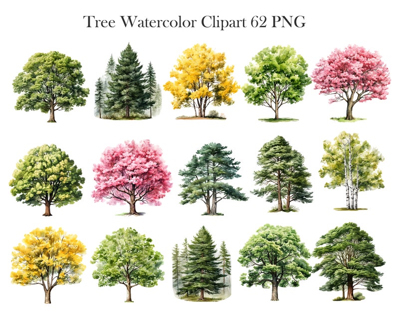 Pu&ograve; includere: Un set di 12 illustrazioni ad acquerello di vari alberi. Gli alberi sono dipinti in tonalit&agrave; di verde, giallo, rosa e marrone. Le illustrazioni sono perfette per aggiungere un tocco di natura ai tuoi progetti.