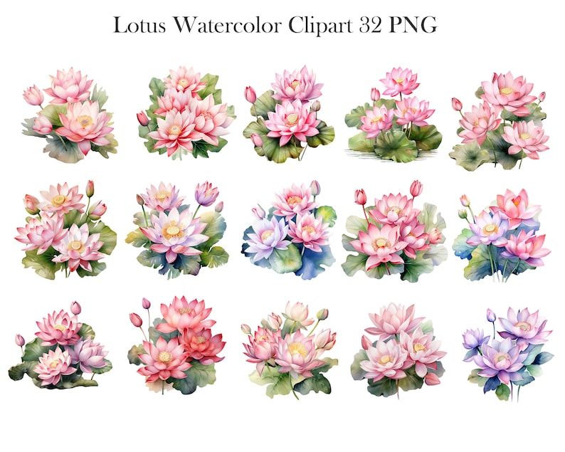 May include: Watercolor illustrations of pink and purple lotus flowers with green leaves. The flowers are in various stages of bloom, with some fully open and others still in bud. The illustrations are perfect for adding a touch of nature to any project.