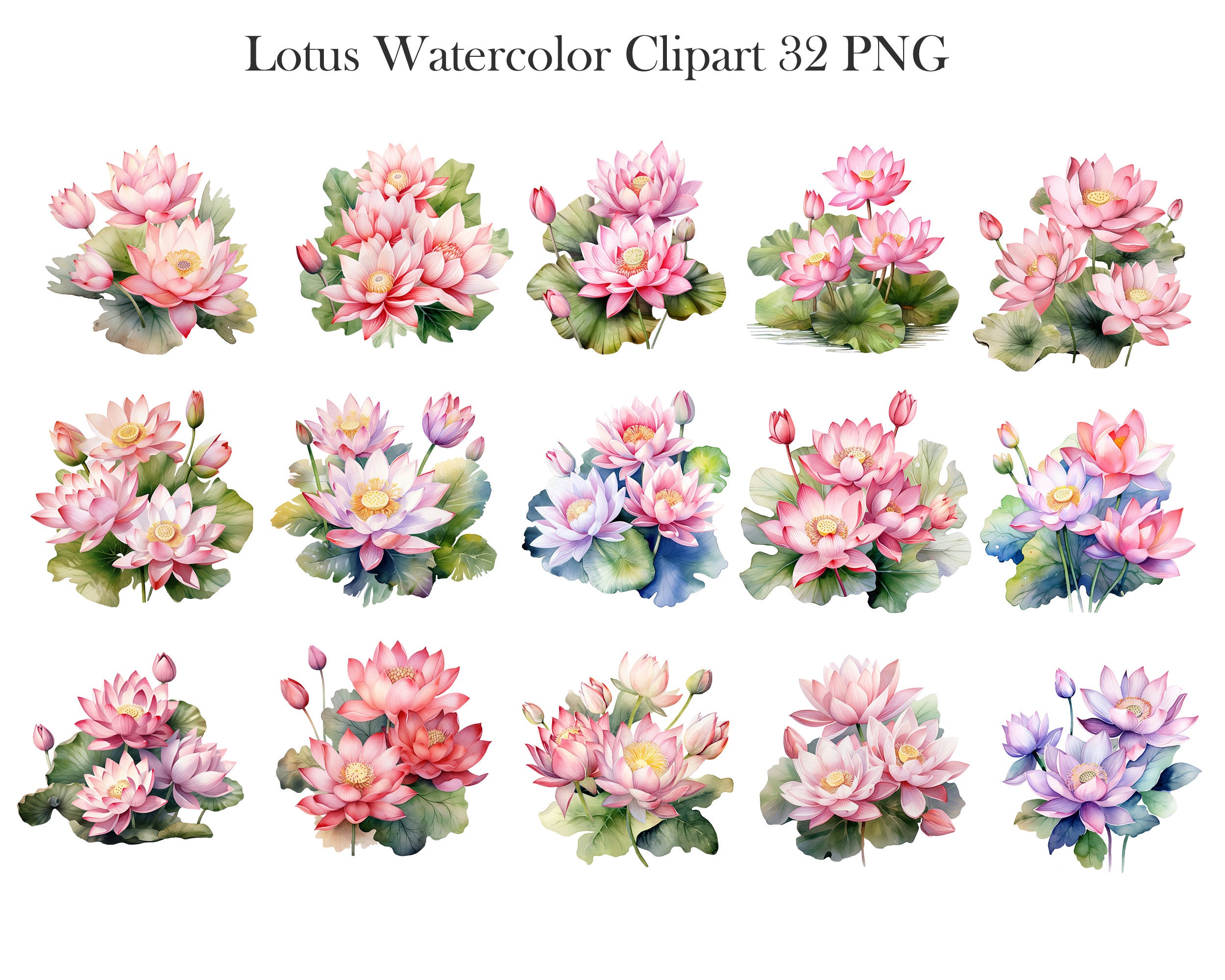 Lotus Clipart, Watercolor Lotus Flower Clipart Bundle, Lotus PNG