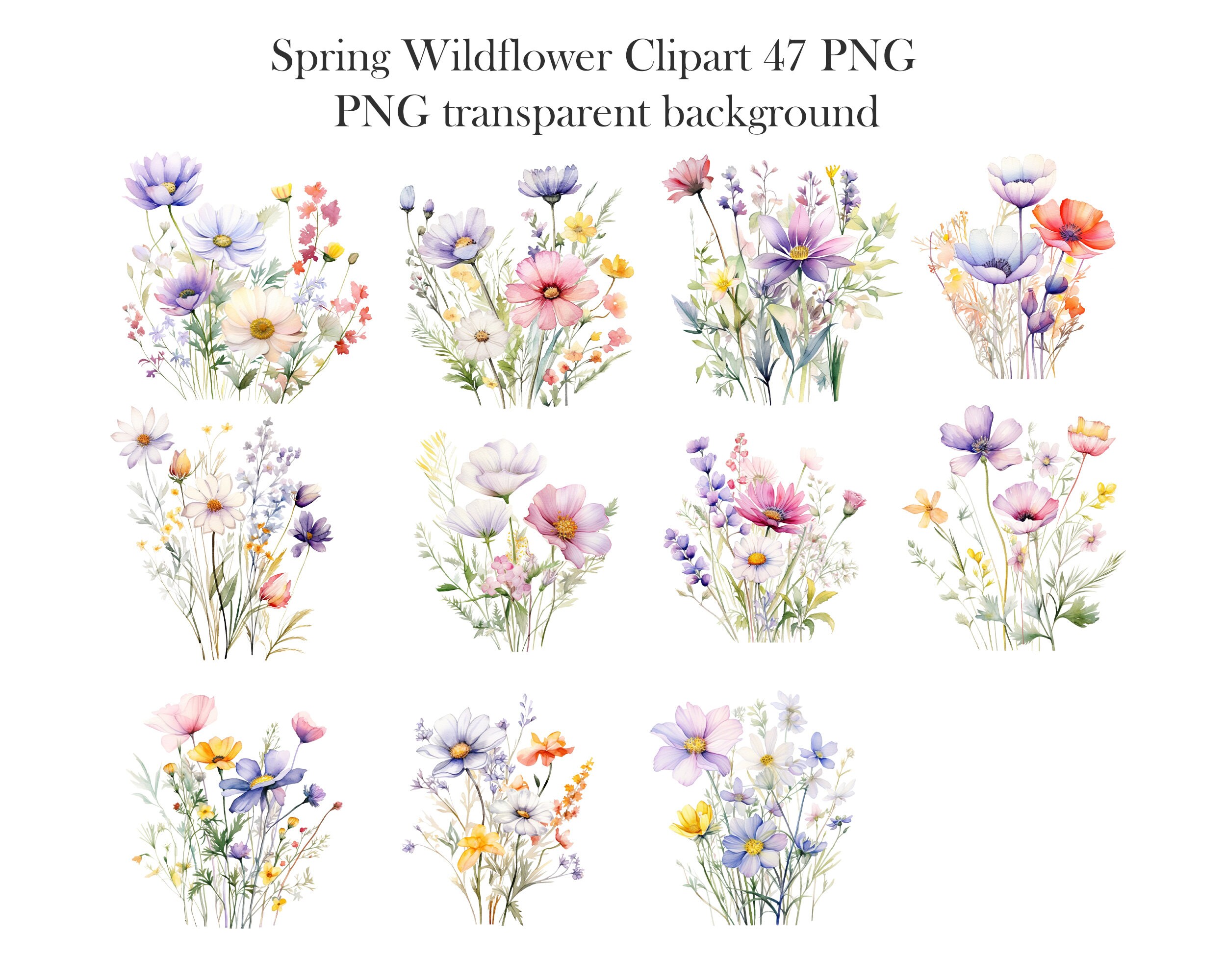 Spring Wildflower Clipart, Watercolor Floral Clipart Bundle, Flower ...