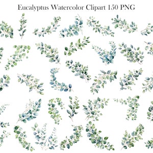 Eucalyptus PNG, Watercolor Eucalyptus Clipart Bundle, Greenery Clipart, Green Leaves, Eucalyptus Border Wreath, Wedding Clipart, Foliage zdjęcie 3