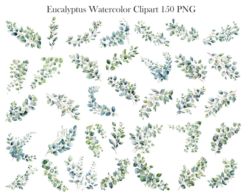 May include: A set of 36 watercolor illustrations of eucalyptus leaves in various shades of green. The leaves are arranged in different patterns and shapes, perfect for adding a touch of nature to your designs.