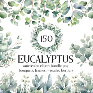 Eucalyptus PNG, Watercolor Eucalyptus Clipart Bundle, Greenery Clipart, Green Leaves, Eucalyptus Border Wreath, Wedding Clipart, Foliage