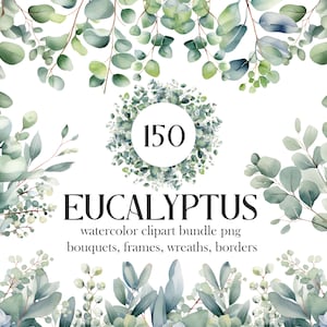 Eucalyptus PNG, Watercolor Eucalyptus Clipart Bundle, Greenery Clipart, Green Leaves, Eucalyptus Border Wreath, Wedding Clipart, Foliage zdjęcie 1