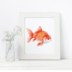 May include: A watercolor painting of a goldfish with orange and white scales. The goldfish is swimming to the right in a white frame.