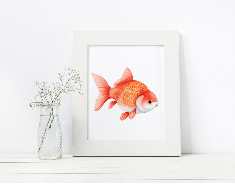 May include: A watercolor painting of a goldfish with orange and white scales. The goldfish is swimming to the right in a white frame.