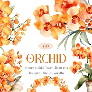 May include: A set of 60 orange orchid flower clipart images in PNG format. The flowers are arranged in bouquets, frames, and wreaths. The text "ORCHID" is written in a decorative font.