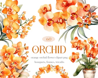 Orange Orchid PNG, Watercolor Orchid Clipart Bundle, Orange Flower Bouquet Wreath Clipart, Orchid Floral PNG