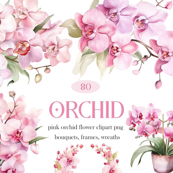 PNG orchidea rosa, bundle di clipart orchidea acquerello, clipart di ghirlanda di bouquet di fiori rosa, PNG floreale orchidea rosa, vaso di orchidee, download digitale