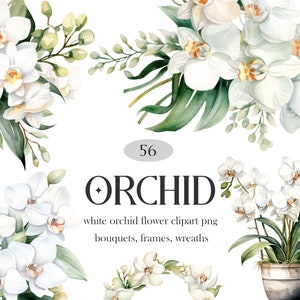 White Orchid PNG, Watercolor Orchid Clipart Bundle, White Flower Bouquet Wreath Clipart, Orchid Floral PNG
