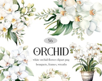 Weiße Orchidee PNG, Aquarell Orchidee Clipart Bundle, weiße Blumen Bouquet Kranz Clipart, Orchidee Floral PNG