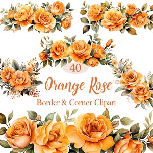 Può includere: 40 Bordi e angoli di rose arancioni. Un set di illustrazioni digitali che presentano rose arancioni con foglie e steli verdi. Le rose sono disposte in vari disegni di bordi e angoli.