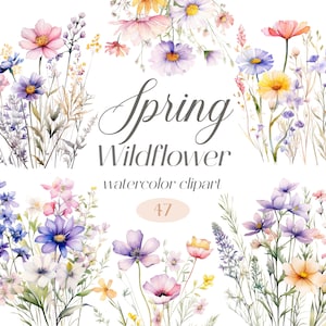 Lentebloemen clipart, aquarel bloemen clipartbundel, bloemboeket, lentebloemen, wilde bloemen png, digitale download