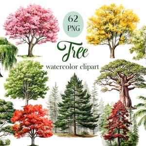 Boom png, aquarel boom clipartbundel, sublimatie, natuur, plakboeken, digitale download