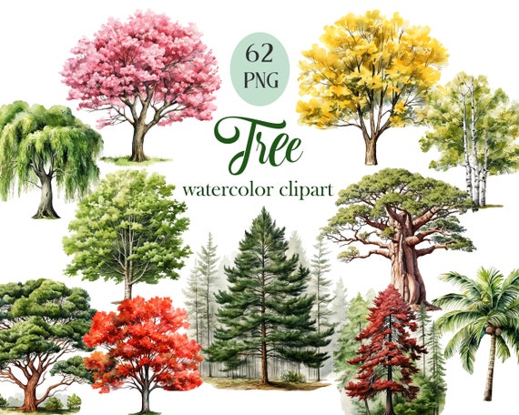 Tree PNG, Watercolor Tree Clipart Bundle, Sublimation, Nature, Scrapbooks, Digital Download