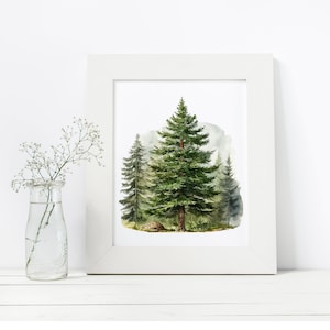 Pu&ograve; includere: Una stampa incorniciata bianca di un dipinto ad acquerello di una scena di bosco con tre pini. Gli alberi sono verdi e lo sfondo &egrave; di un delicato blu e verde.