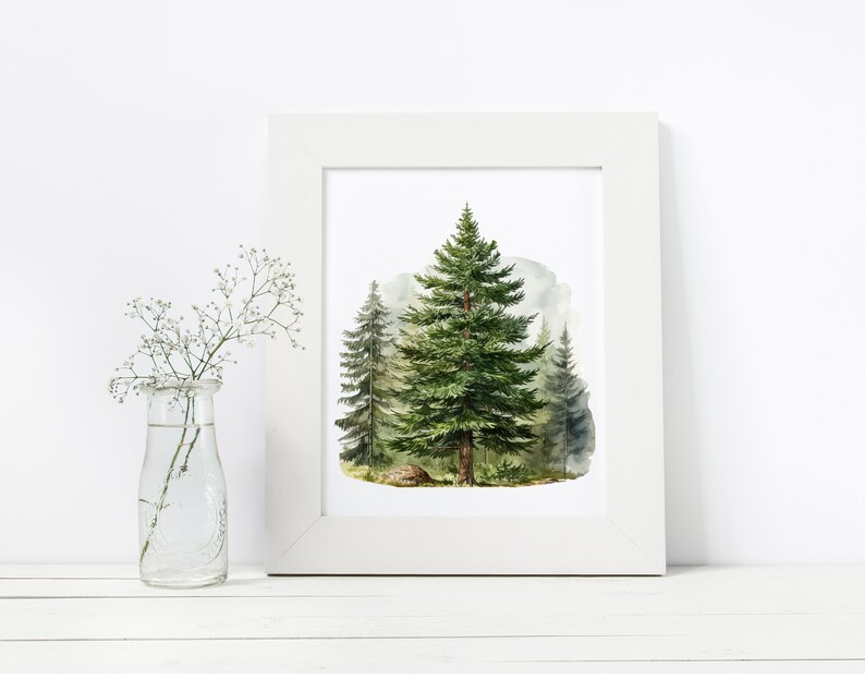 Pu&ograve; includere: Una stampa incorniciata bianca di un dipinto ad acquerello di una scena di bosco con tre pini. Gli alberi sono verdi e lo sfondo &egrave; di un delicato blu e verde.