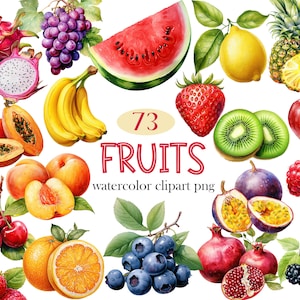 Fruit clipart, aquarel fruit png-bundel, fruitsublimatie, appel, banaan, avocado, watermeloen, aardbei, digitale download