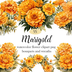 Marigold PNG, Watercolor Marigold Clipart Bundle, Flower Bouquet, Wreath, Flower Sublimation, Spring Floral, Digital Download