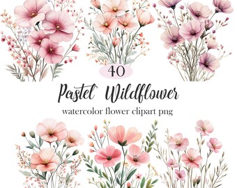 Pastel Wildflower Clipart, Watercolor Floral PNG, Spring Flower, Digital Download