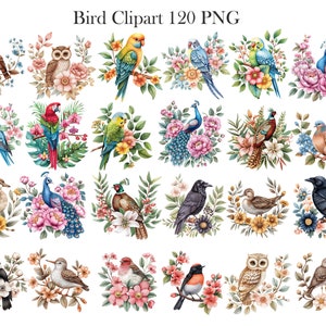 May include: A set of 24 digital illustrations featuring various bird species with floral arrangements. The birds are depicted in a variety of colors and poses, including peacocks, owls, robins, and cardinals. The flowers are also in a variety of colors and styles, including roses, lilies, and daisies.