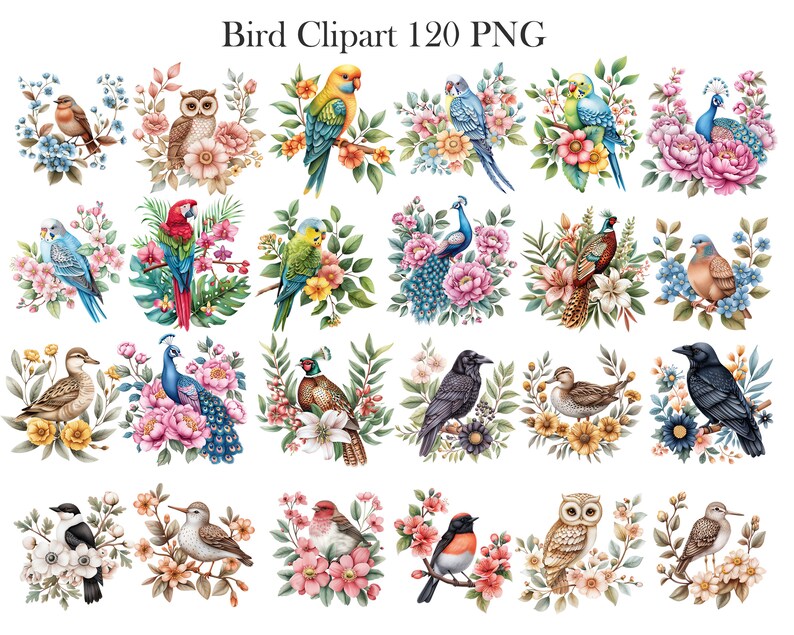 May include: A set of 24 digital illustrations featuring various bird species with floral arrangements. The birds are depicted in a variety of colors and poses, including peacocks, owls, robins, and cardinals. The flowers are also in a variety of colors and styles, including roses, lilies, and daisies.