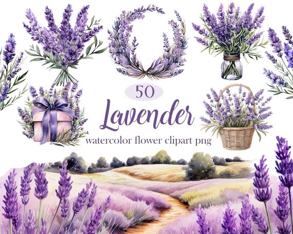 Lavender PNG, Watercolor Lavender Clipart, Flower Bouquet, Wreath, Digital Download