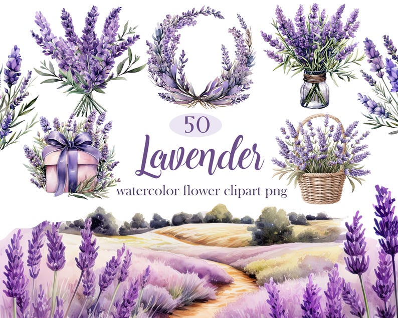May include: A set of 50 watercolor clipart images featuring lavender flowers in various arrangements. The images include bouquets, wreaths, a gift box, a basket, and a field of lavender.