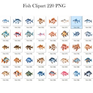 May include: A collection of 200 watercolor illustrations of various fish. The fish are depicted in a variety of colors, including blue, red, orange, yellow, and green. The fish are all drawn in a realistic style, with detailed scales and fins.