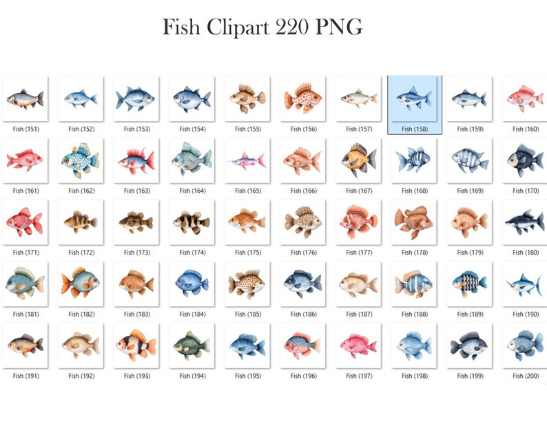 May include: A collection of 200 watercolor illustrations of various fish. The fish are depicted in a variety of colors, including blue, red, orange, yellow, and green. The fish are all drawn in a realistic style, with detailed scales and fins.