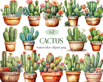 Watercolor Cactus Clipart Bundle, Desert Cactus PNG Clipart, Potted Plants PNG, Digital Download