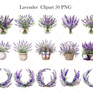 May include: A set of 50 digital clipart images featuring watercolor illustrations of lavender flowers in various arrangements. The images include bouquets, wreaths, and lavender plants in pots, baskets, and vases.