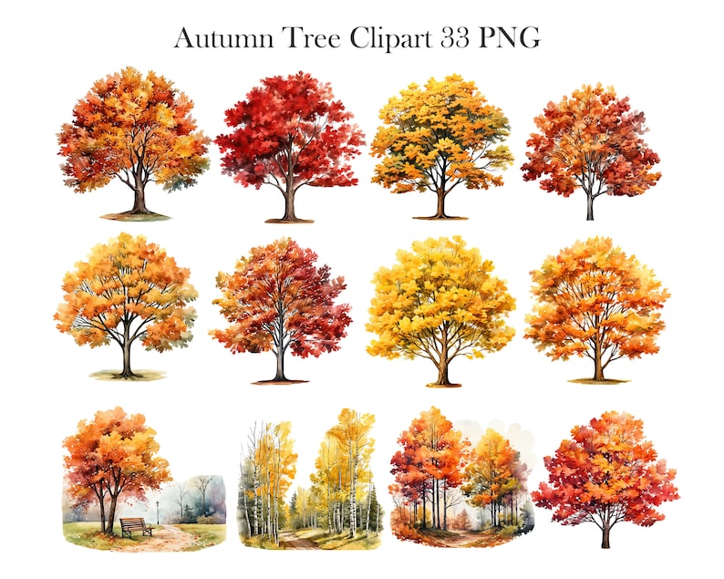 May include: A set of 12 digital clipart images of autumn trees in various shades of red, orange, and yellow. The trees are isolated on a white background.  Autumn Tree Clipart 33 PNG
