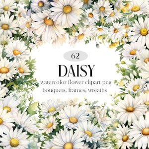 Daisy png, aquarel madeliefje clipartbundel, lentebloemen png, bloemboeket, krans, digitale download