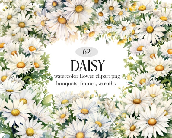 Daisy PNG, Watercolor Daisy Clipart Bundle, Spring Floral PNG, Flower Bouquet, Wreath, Digital Download