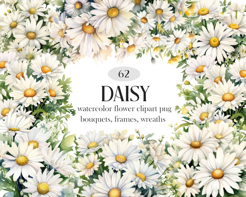 May include: Watercolour illustration of 62 white daisies with yellow centres, arranged in a circular frame. The text "62 DAISY watercolour flower clipart png bouquets, frames, wreaths" is in the centre of the frame.