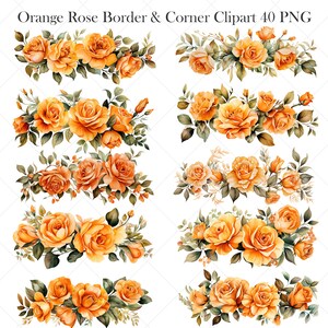 Orange Rose PNG, Watercolor Orange Rose Border Clipart, Rose Corner ...