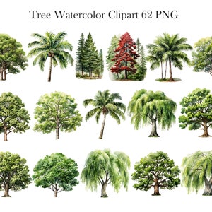 Pu&ograve; includere: Un set di 12 illustrazioni ad acquerello di vari alberi, tra cui palme, salici piangenti e querce. Gli alberi sono dipinti in tonalit&agrave; di verde, marrone e rosso.