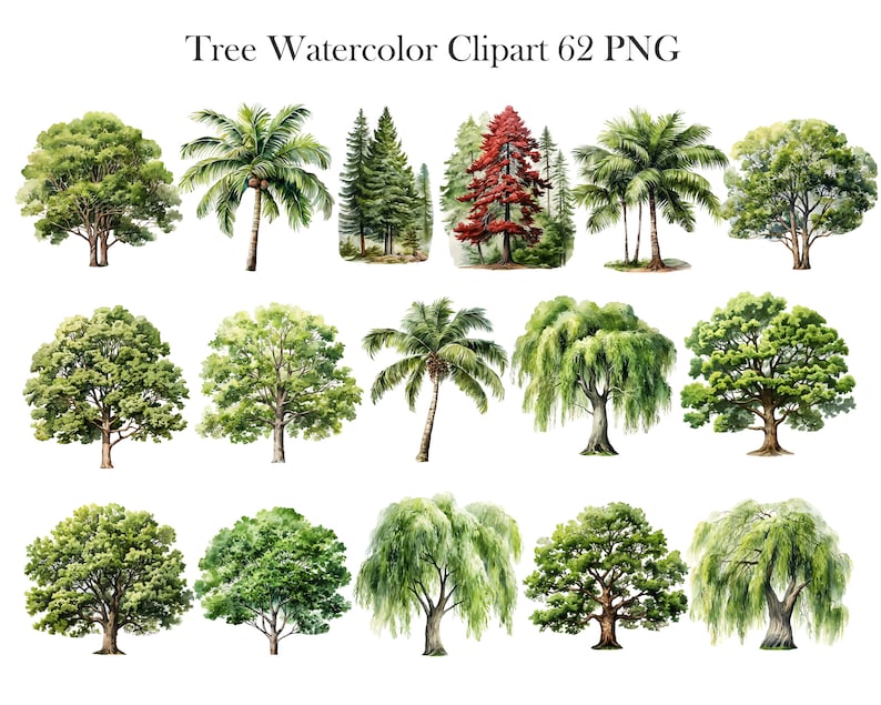 Pu&ograve; includere: Un set di 12 illustrazioni ad acquerello di vari alberi, tra cui palme, salici piangenti e querce. Gli alberi sono dipinti in tonalit&agrave; di verde, marrone e rosso.