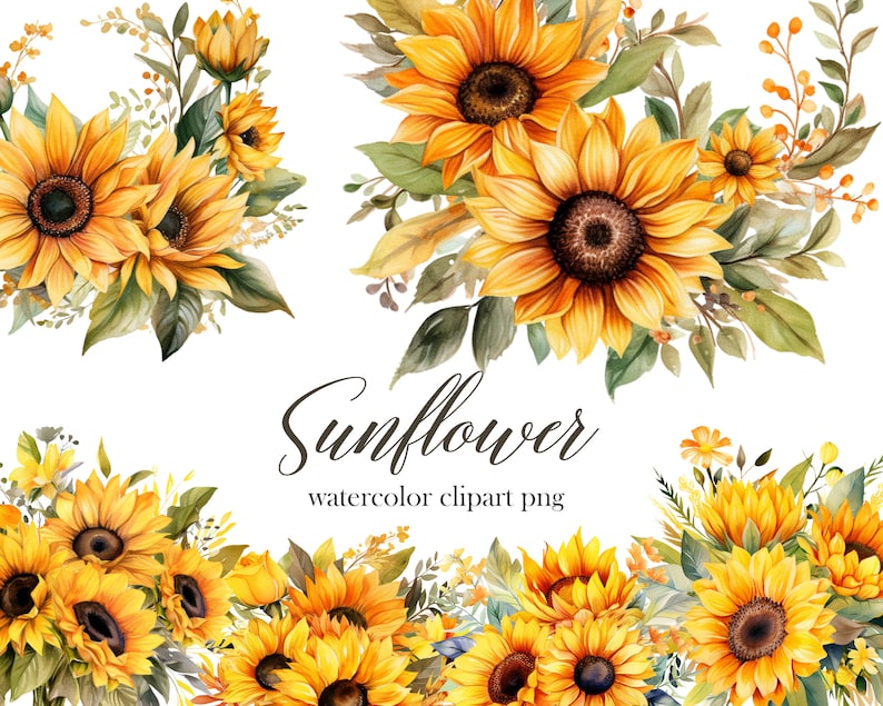 May include: Watercolor clipart of three bouquets of sunflowers with green leaves and stems. The text "Sunflower watercolor clipart png" is below the bouquets.