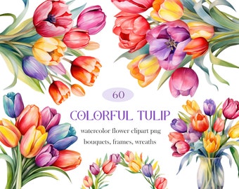 Colorful Tulip Watercolor Clipart, Tulip PNG, Watercolor Floral Clipart Bouquet Wreath, Spring Flower, Digital Download