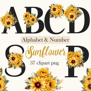 Alfabeto de girasol PNG, Alfabeto floral, Letras y números de flores de acuarela, Sublimación, Descarga digital