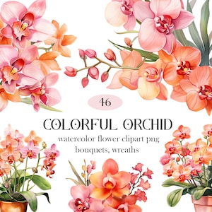 Puede incluir: Clipart de acuarela de 46 flores de orquídea coloridas en rosa, naranja y amarillo. Las flores están dispuestas en ramos y coronas. La imagen incluye el texto "Colorful Orchid watercolor flower clipart png bouquets, wreaths".