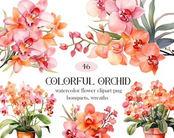 Colorful Orchid PNG, Watercolor Orchid Clipart Bundle, Floral Bouquet Wreath Clipart, Spring Flower, Summer Floral, Digital Download