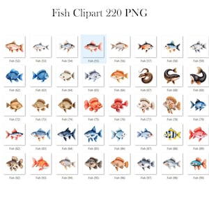 May include: A set of 100 watercolor illustrations of various fish. The fish are depicted in a variety of colors, including blue, red, orange, yellow, and green. The fish are all drawn in a realistic style, with detailed scales and fins.