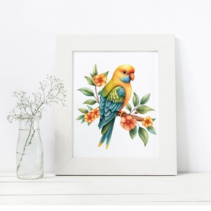 May include: A yellow, blue, and green parrot perched on a branch with orange flowers. The parrot is facing to the right and has a white frame around it.