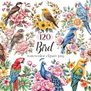 May include: A collection of 120 watercolor bird illustrations with floral accents. The birds are depicted in various poses and colors, including blue, green, yellow, and brown. The flowers are in shades of pink, white, and yellow.