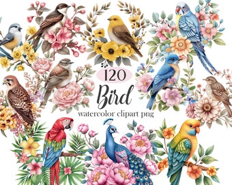 Bird Clipart, Watercolor Bird PNG Bundle, Bird Sublimation, Spring, Floral, Scrapbook, Flamingo, Peacock, Digital Download