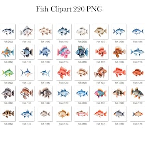 May include: A set of 220 watercolor illustrations of various fish. The fish are depicted in a variety of colors, including red, orange, yellow, green, blue, and purple. The fish are all drawn in a realistic style, with detailed scales and fins.